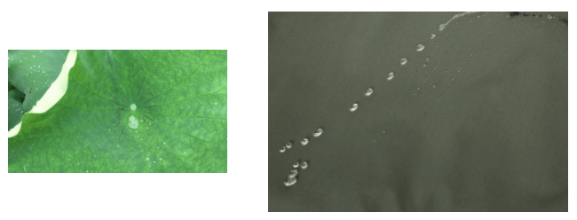 世界杯官网医用纺织