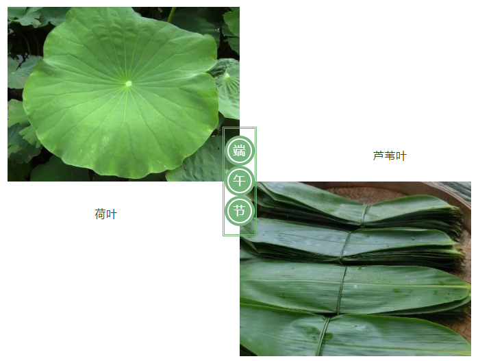 世界杯官网医纺