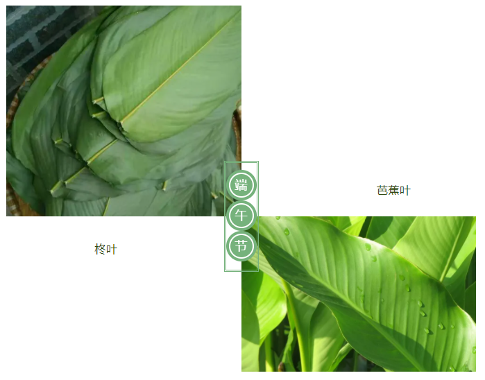 世界杯官网医纺