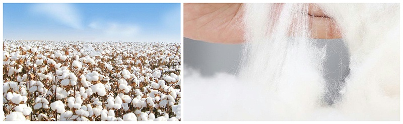 世界杯官网医纺