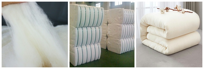 世界杯官网医纺