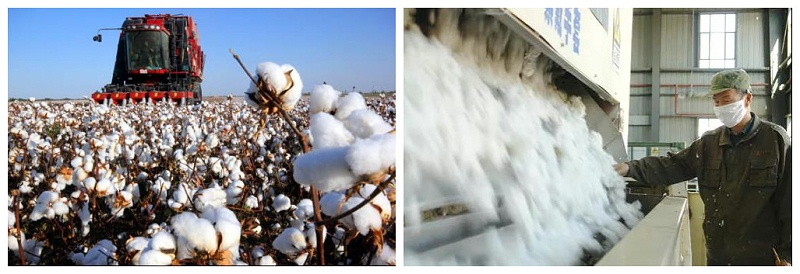 世界杯官网医纺