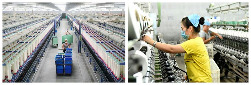 世界杯官网医纺