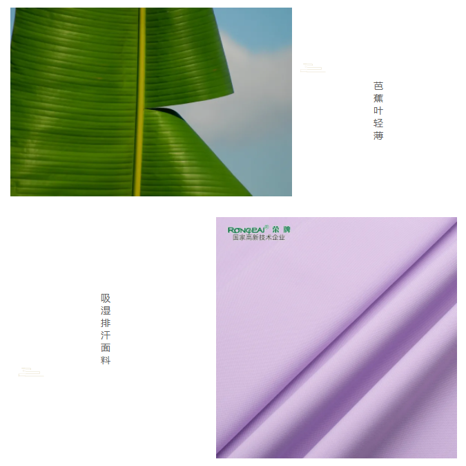 世界杯官网医纺