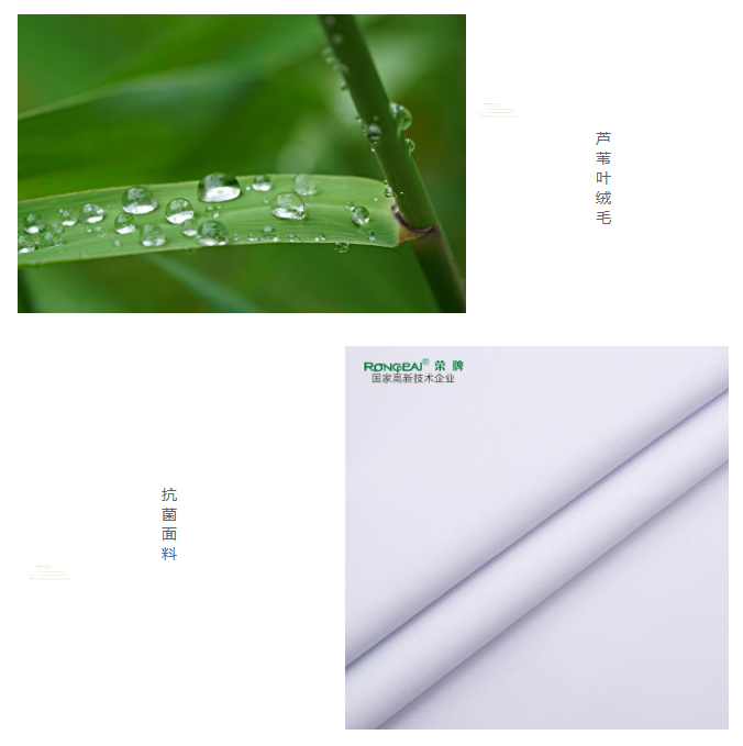 世界杯官网医纺