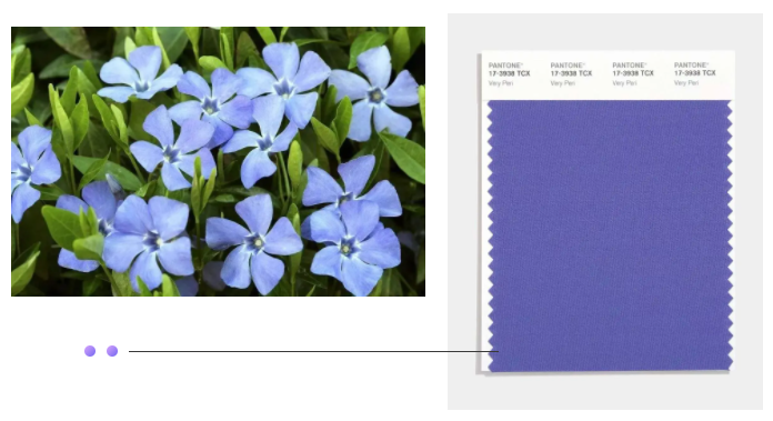 世界杯官网纺织面料