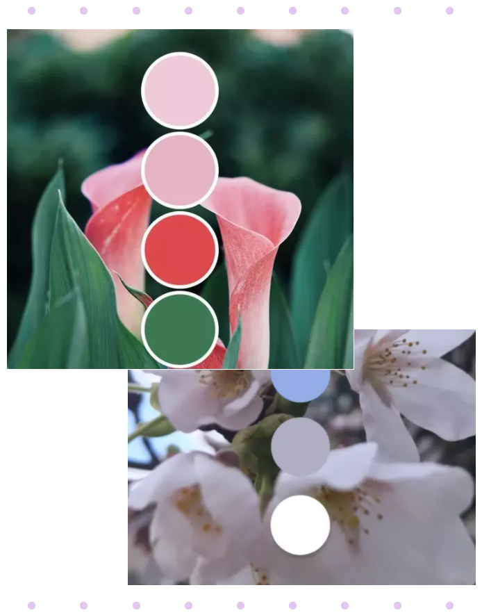 世界杯官网纺织面料