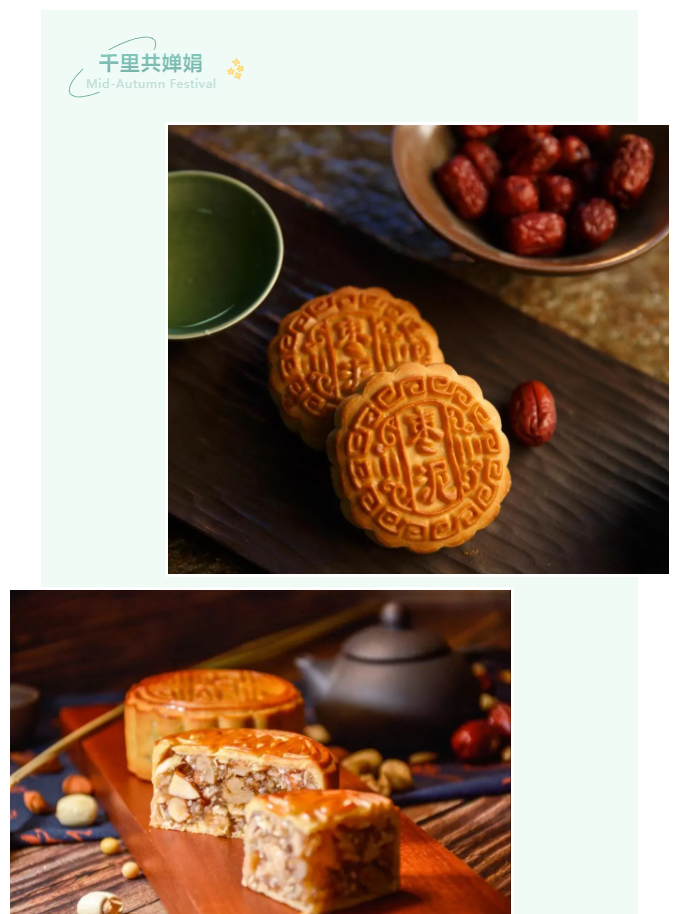 世界杯官网医纺