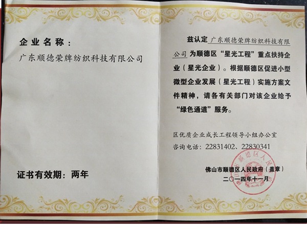 世界杯官网荣获政府重点扶持企业